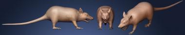 3D model Rat (STL)